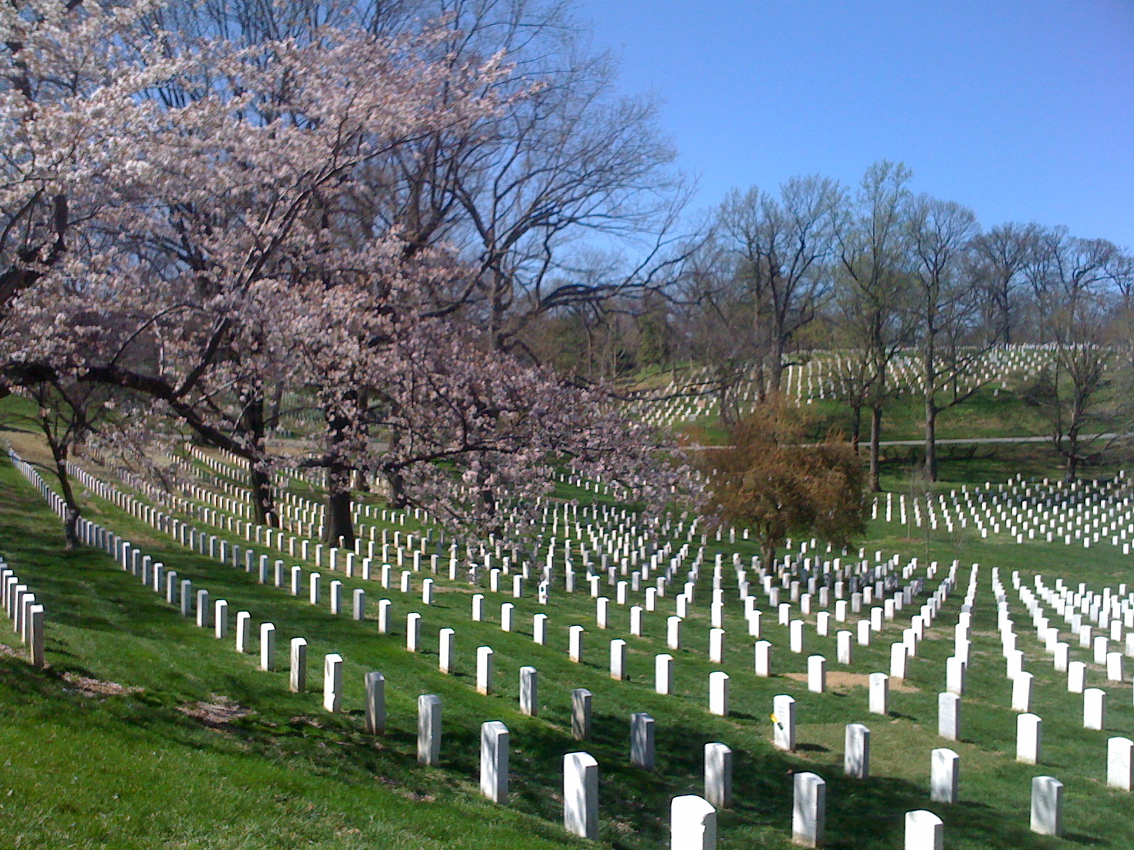 Observing Memorial Day