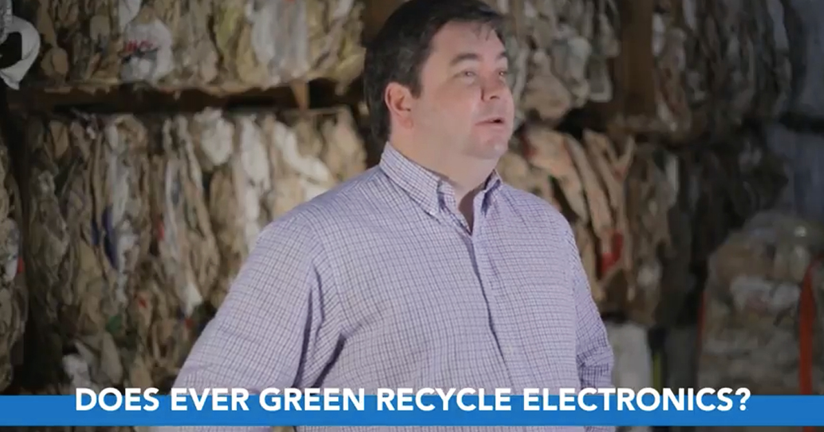 Client Spotlight | Ever Green Environmental